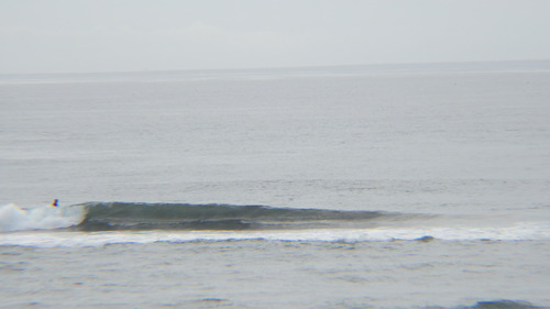RIMG0650