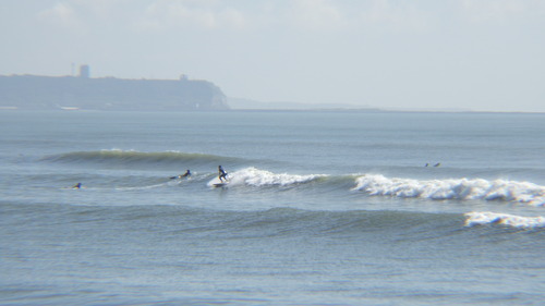 RIMG7238