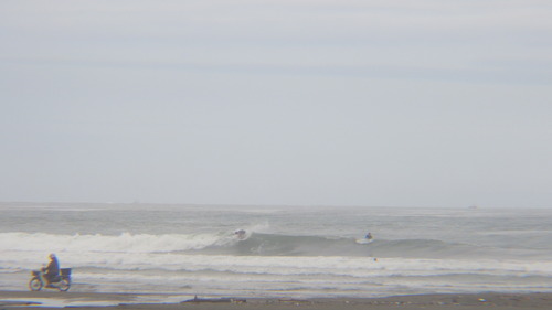 RIMG4368