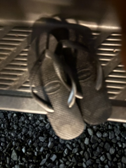 S__243539989