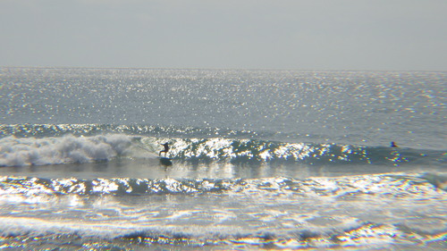 RIMG0939