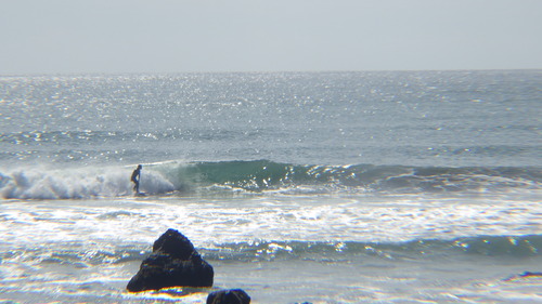 RIMG0930