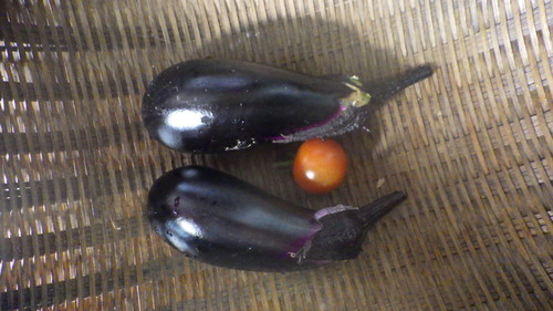 RIMG6284