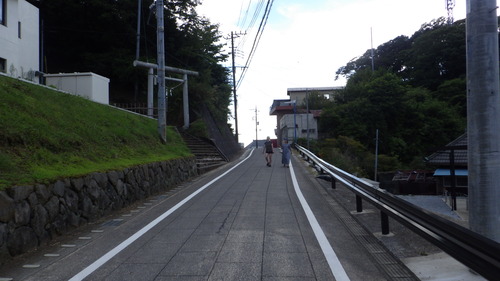 RIMG4081