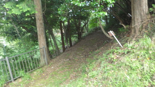 RIMG4104