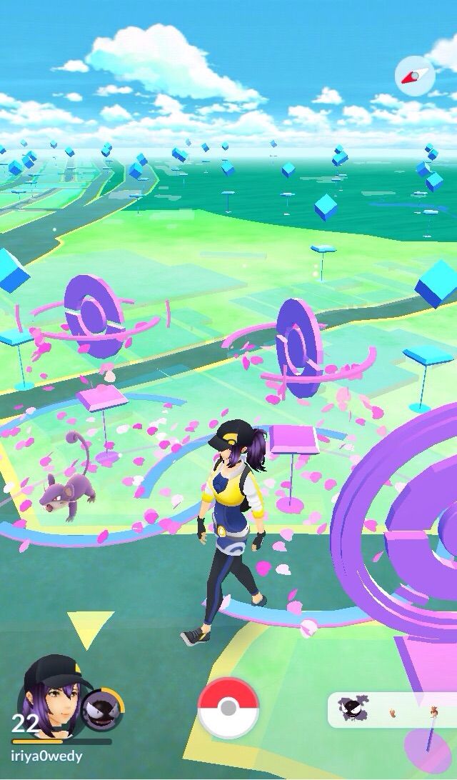 ポケモンgo ある日の日記 行けたら行きます