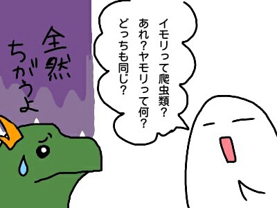 両生類ってどんなの 本日も動物三昧 両生類ってどんなの 本日も動物三昧