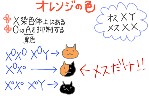 無題1386