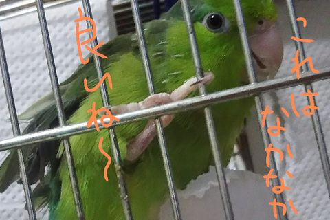無題1430