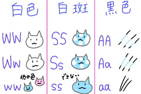 無題1385