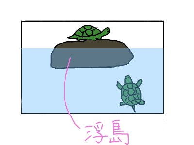 水棲のカメさんも溺れるの 本日も動物三昧