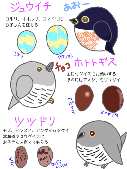 無題84_20191014140825
