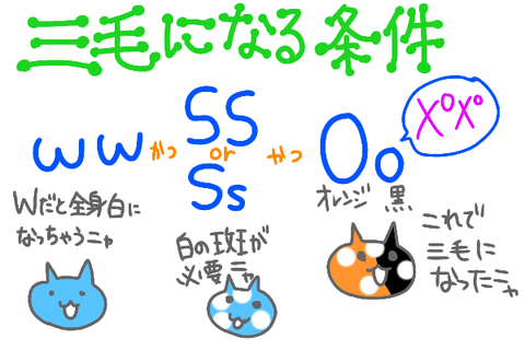 無題1387