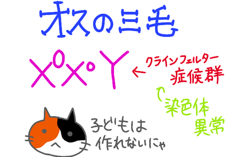 無題1388