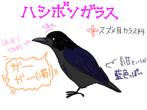 無題1400