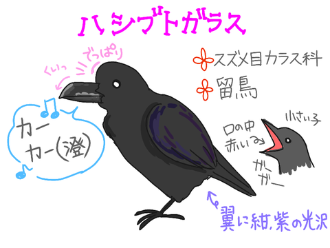 無題1399