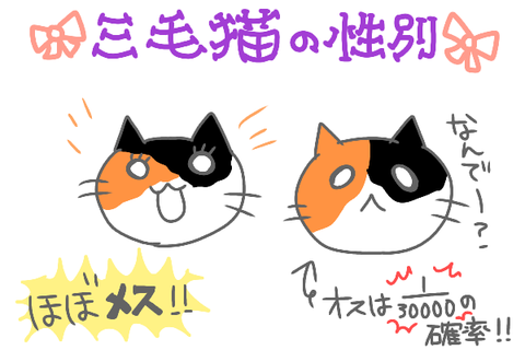 無題1384