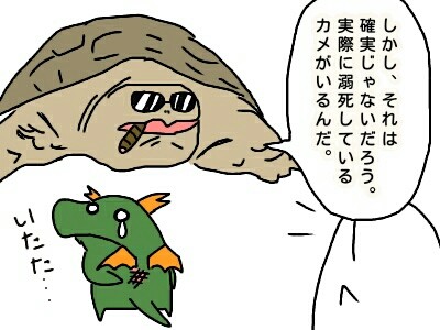 水棲のカメさんも溺れるの 本日も動物三昧