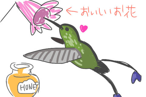 無題1371