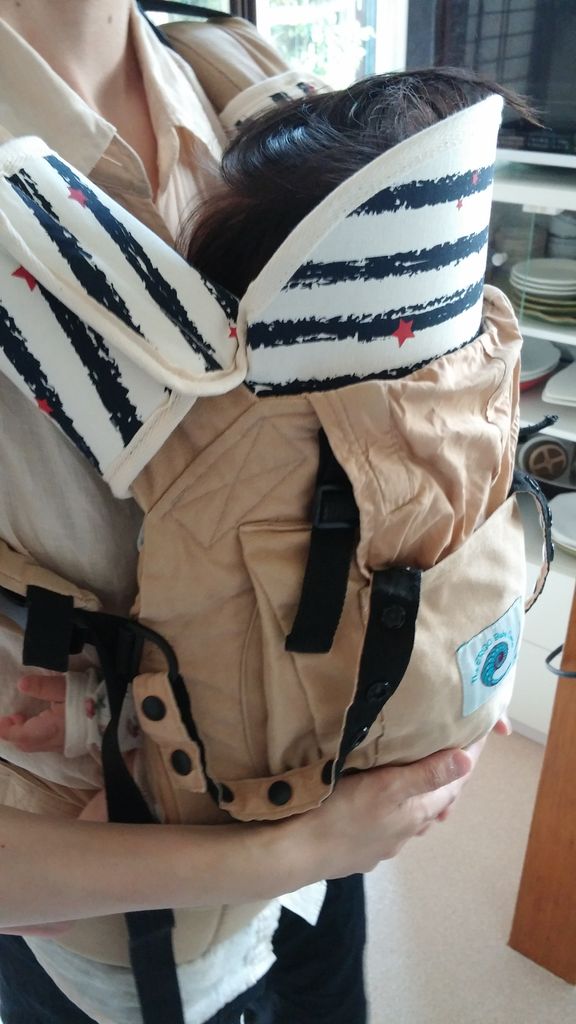首が座らない子の抱っこ紐 はるとなつの毎日