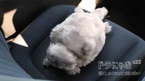 newsplus_1769411267_101