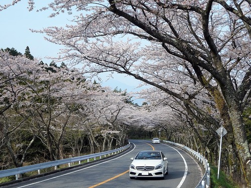 箱根ターンパイク