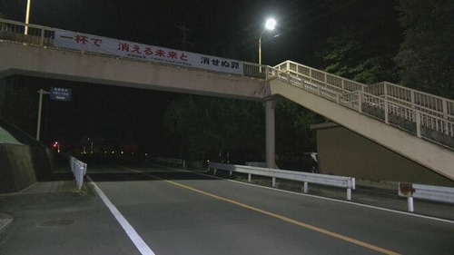 news_1785037055_101
