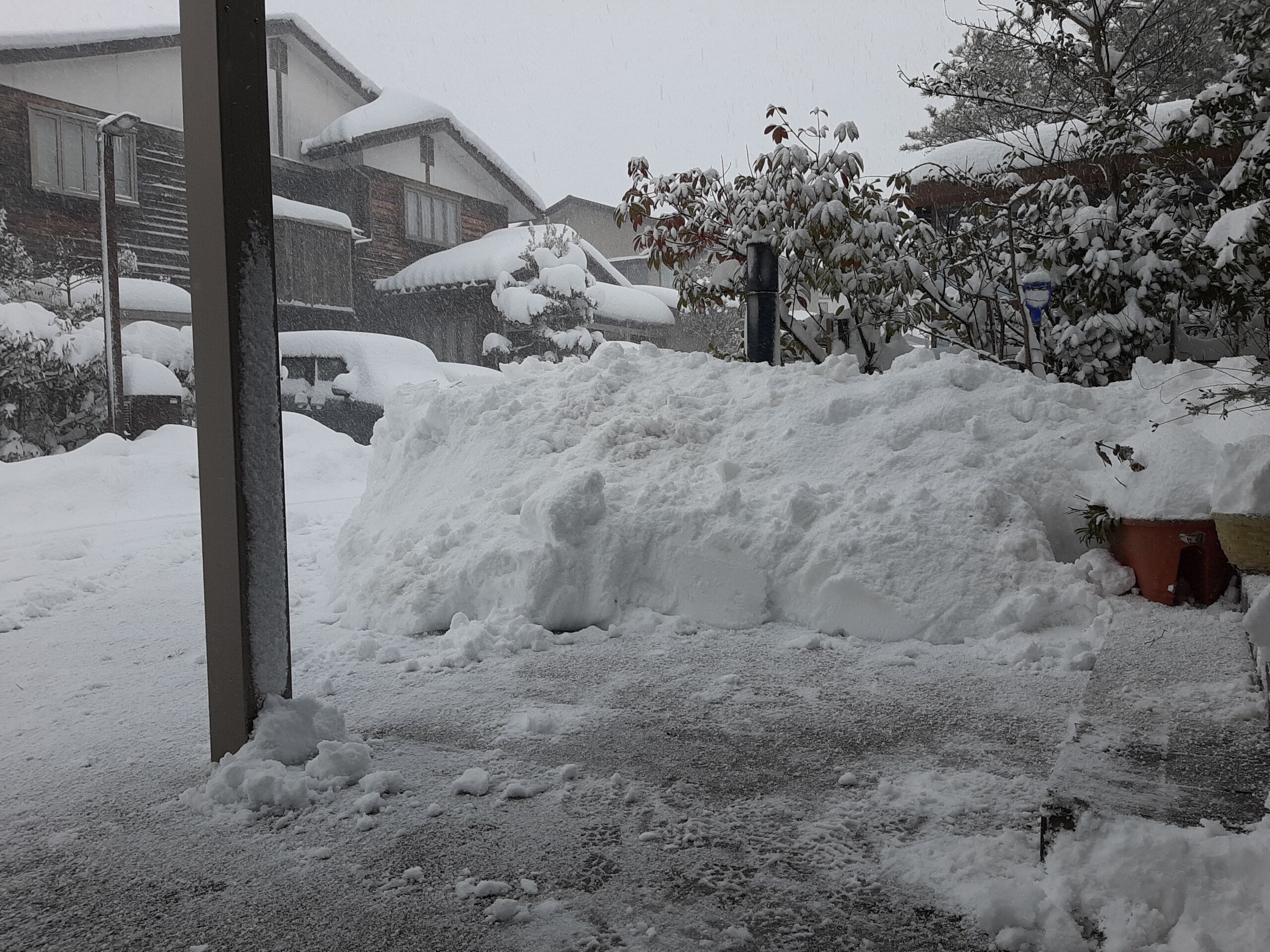金沢が多いパターン よしりんの つれづれなるままに 金沢が多いパターン よしりんの つれづれなるままに