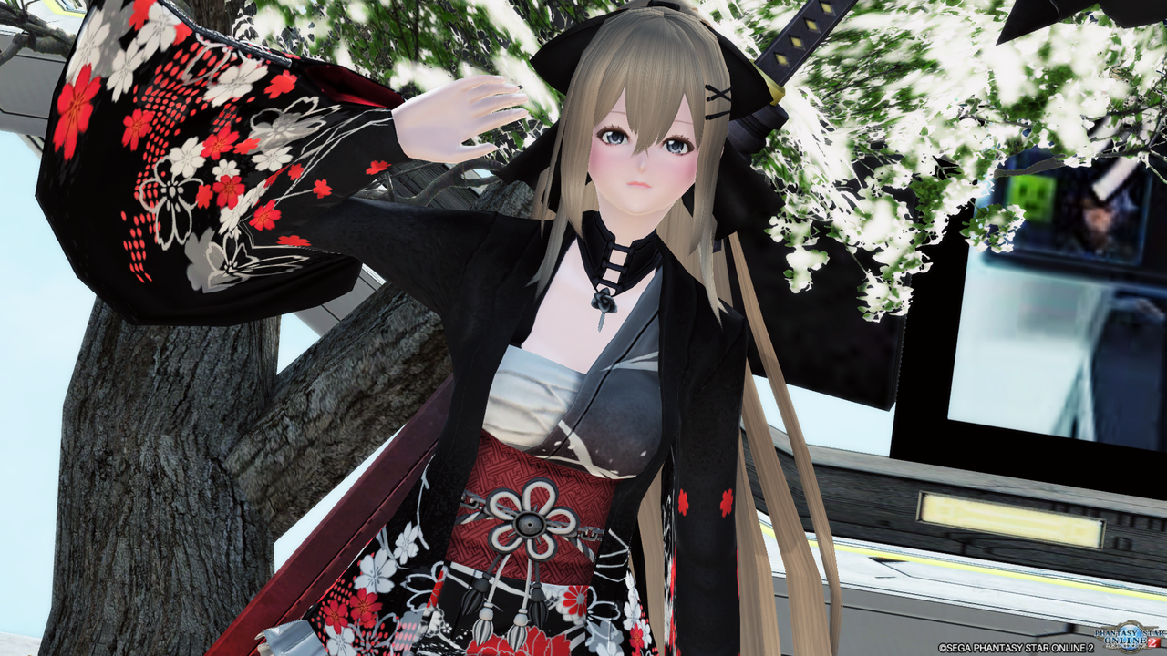 Pso2 Olアークスの日常 Pso2 Olアークスの日常