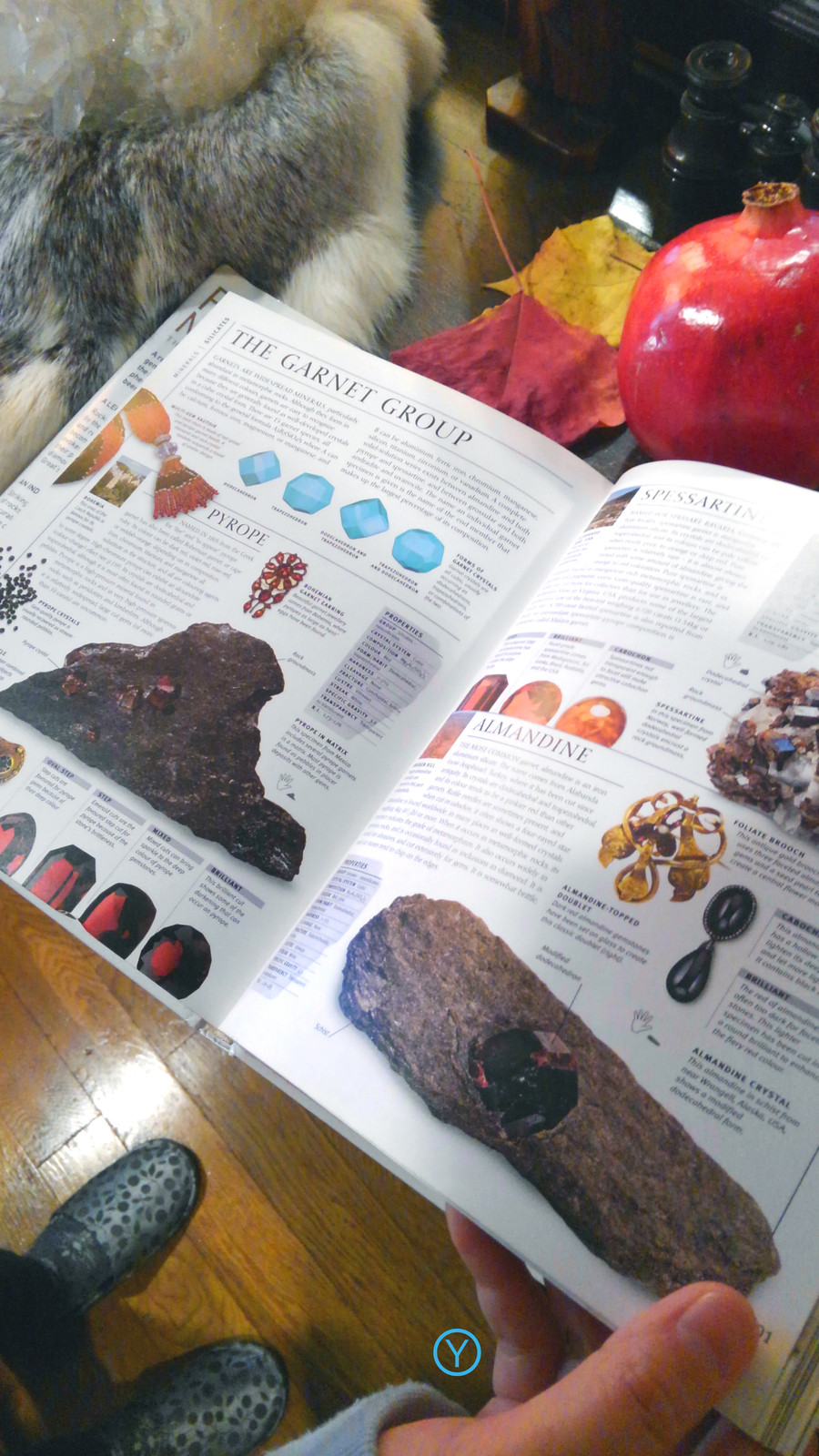 ③KIMG4214bs