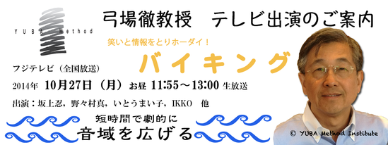 バイキング宣伝ワイド