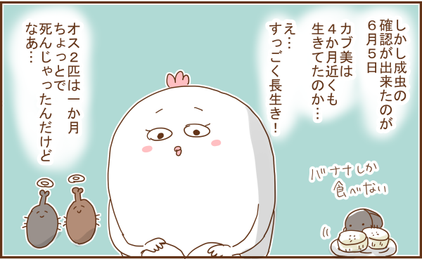 019