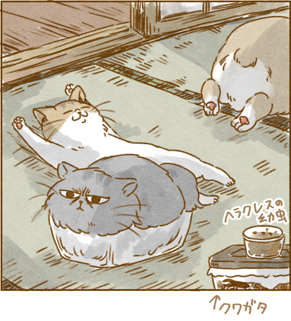171