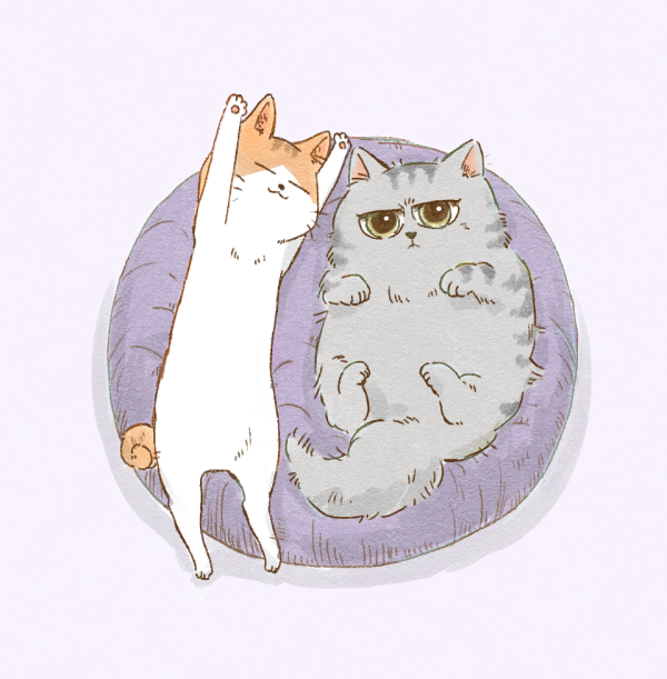 126