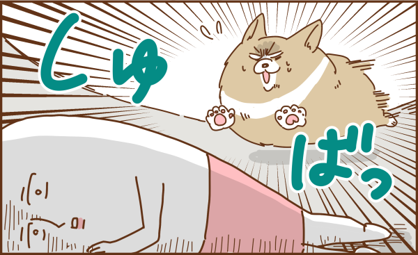 トリ頭238