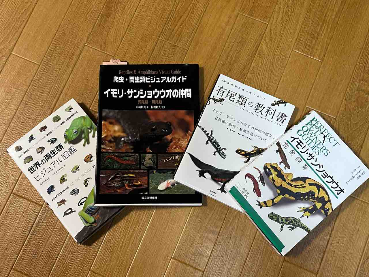 洋書　有尾類の飼育と繁殖 洋書有尾類の飼育と繁殖
