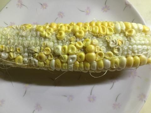 CF431074-B6E7-4859-A59D-E00AF88DE1C1