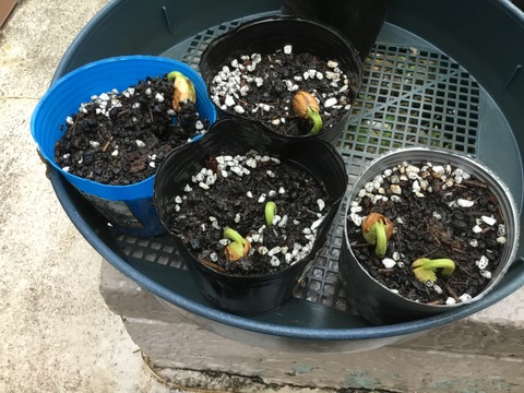 2DBC4723-514F-4A0E-A8FC-52EACA92516F