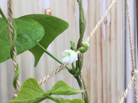 89C9B545-BDA8-4132-B1F0-D33D51E95F93