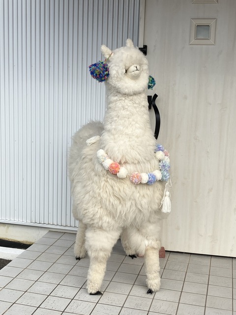 18186D37-3F89-44AA-834B-AD4DDCB8778F