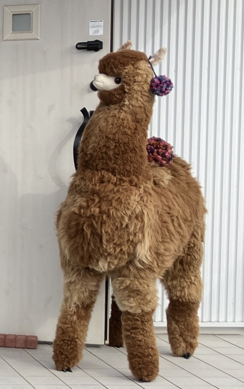 6BC89723-893F-4DB0-B93B-2F8973092FE7