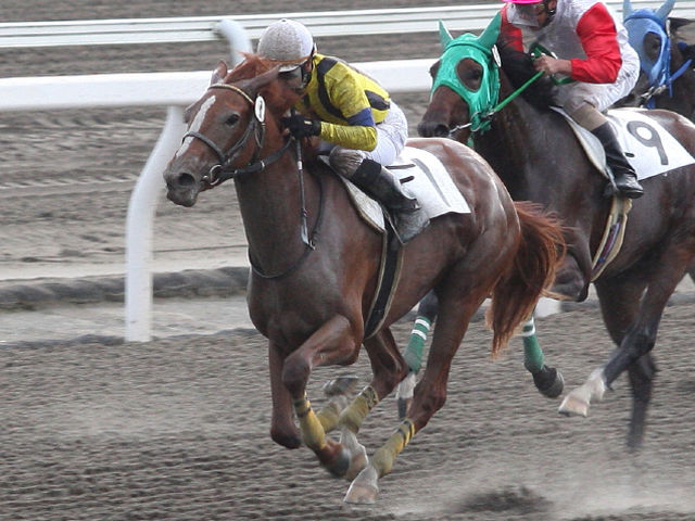 日本サラブレッドクラブ                遊馬D