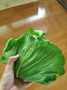 20130804-075410.jpg