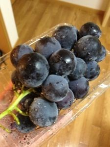 20131001-005915.jpg