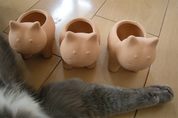 テラコッタの猫に包囲されるマーシャ : 猫花逍遥