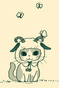しーぷ