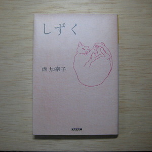 tt-85nishika