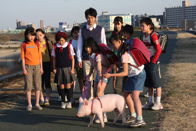 感動器官 映画 ブタがいた教室