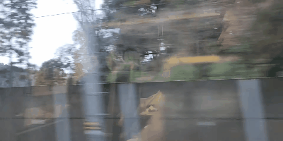 Videotogif