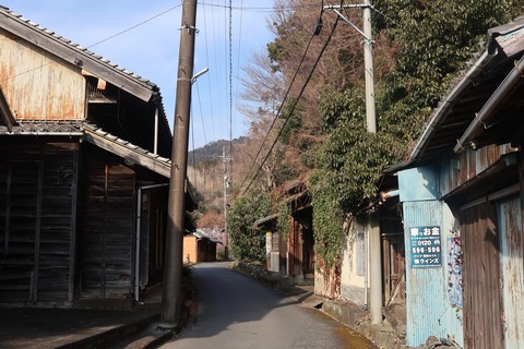 IMG_5571 (1)